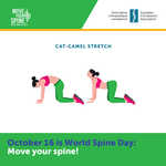 spine mobility stretch