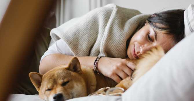 5 Tips for Better Sleep! image